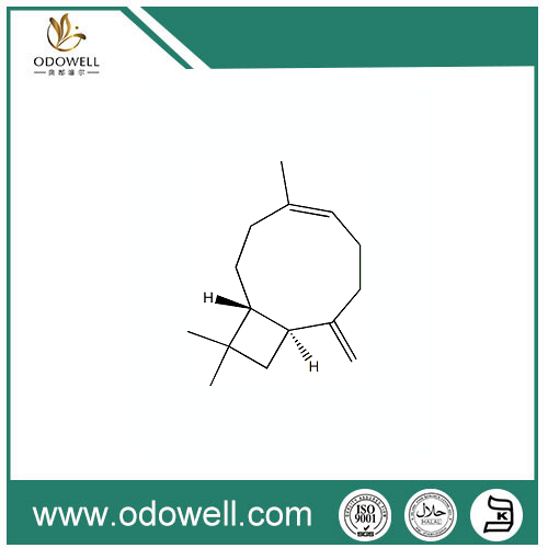 बीटा-CARYOPHYLLENE