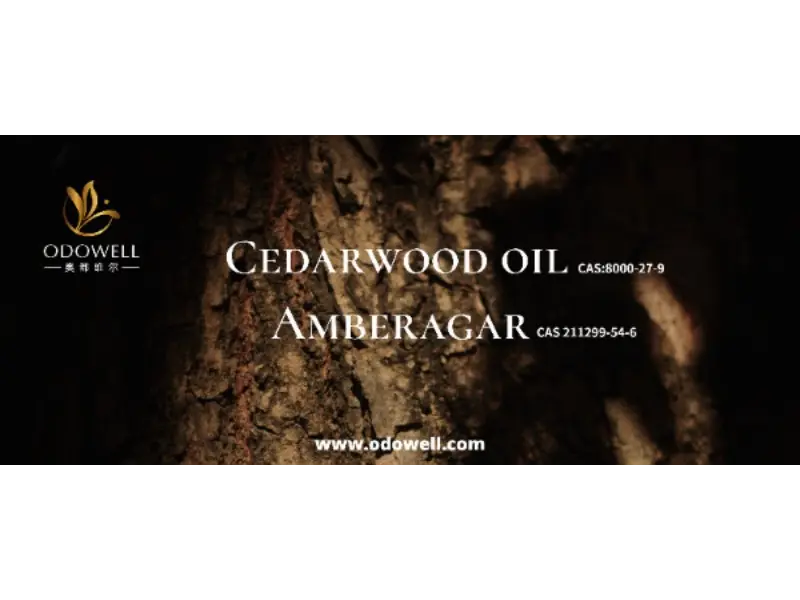 क्या आपके हस्ताक्षर की खुशबू सचमुच अनोखी है?