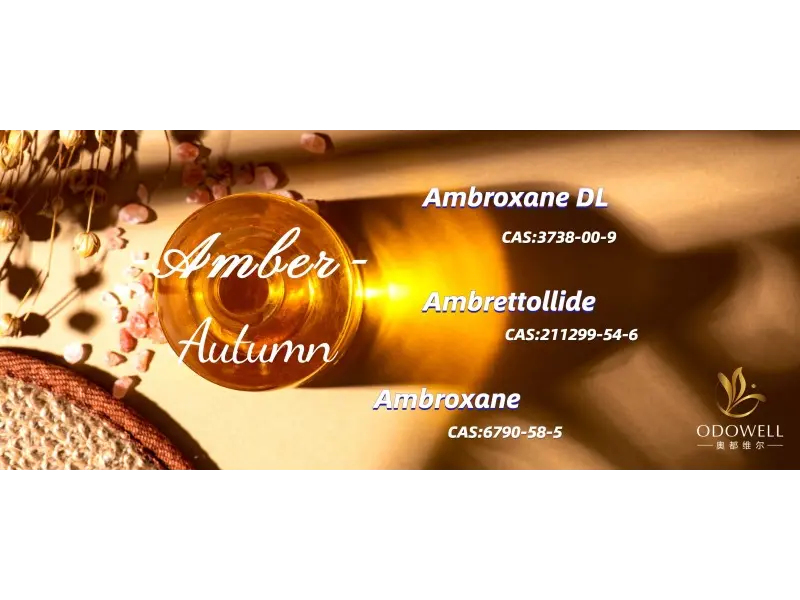 2025 के लिए शीर्ष लिंग तटस्थ सुगंधें क्या हैं?